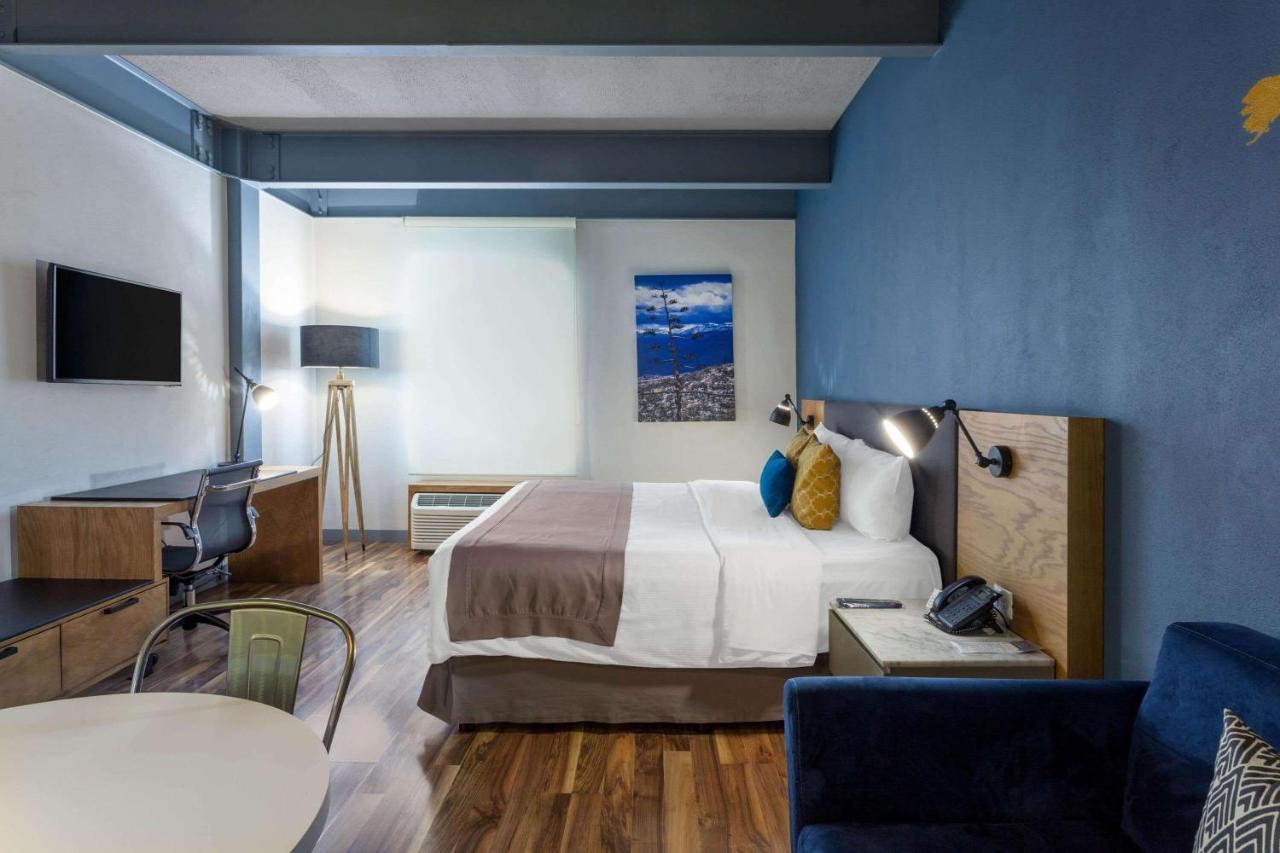 Hotel Tryp By Wyndham San Luis Potosí Zewnętrze zdjęcie