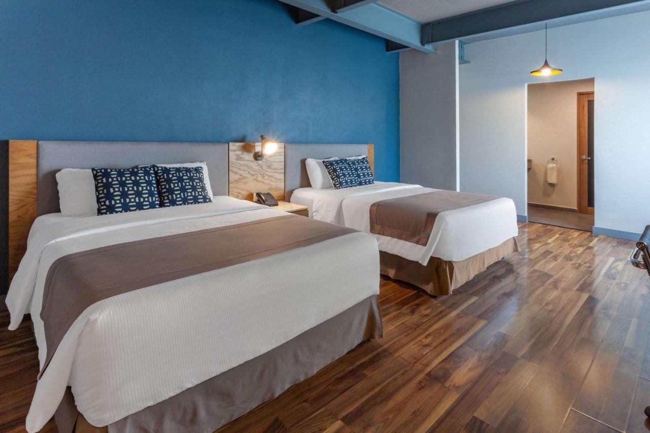Hotel Tryp By Wyndham San Luis Potosí Zewnętrze zdjęcie