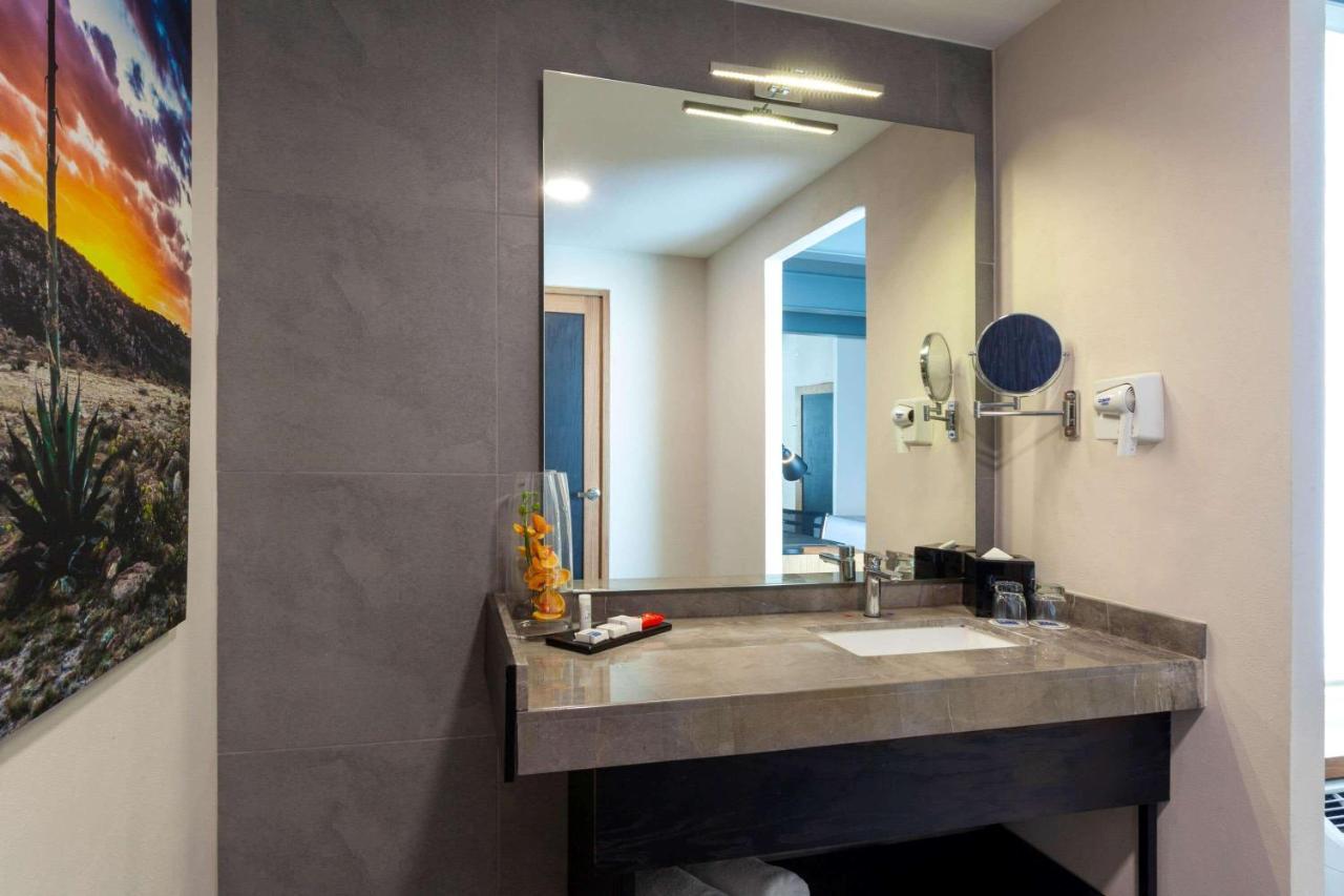 Hotel Tryp By Wyndham San Luis Potosí Zewnętrze zdjęcie