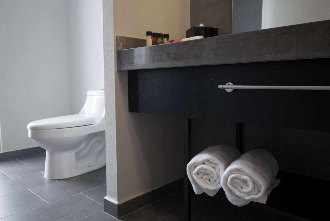 Hotel Tryp By Wyndham San Luis Potosí Zewnętrze zdjęcie
