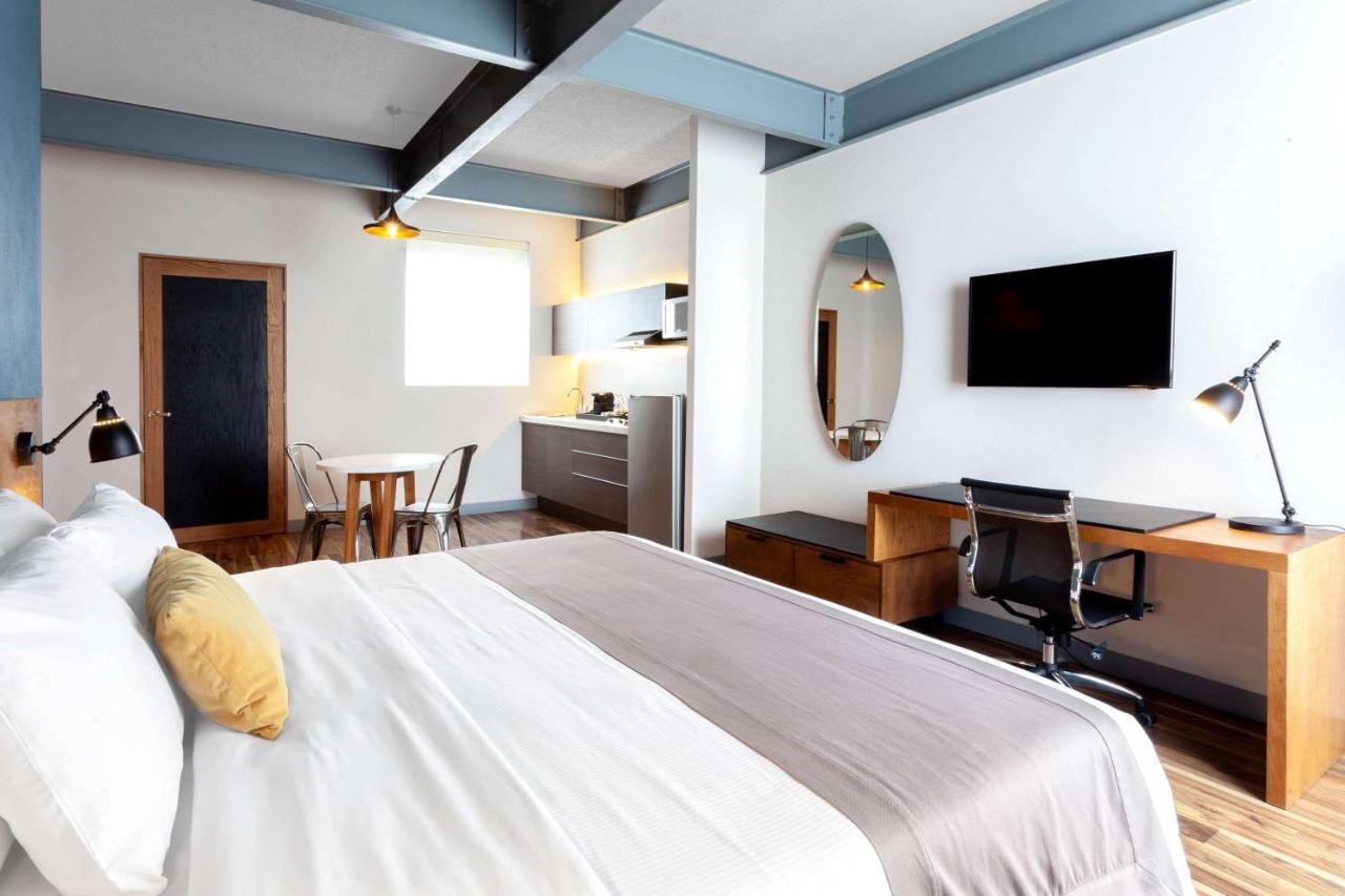 Hotel Tryp By Wyndham San Luis Potosí Zewnętrze zdjęcie