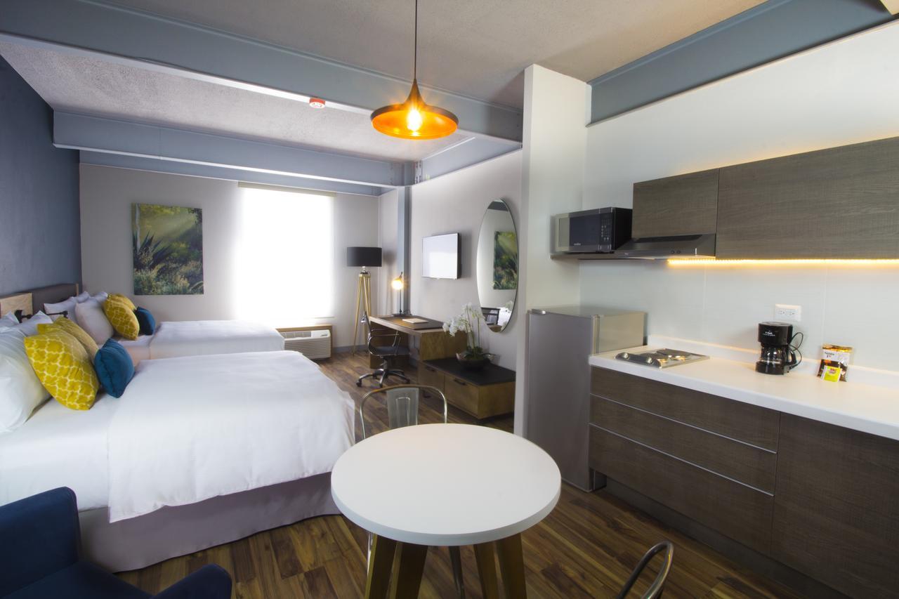 Hotel Tryp By Wyndham San Luis Potosí Zewnętrze zdjęcie